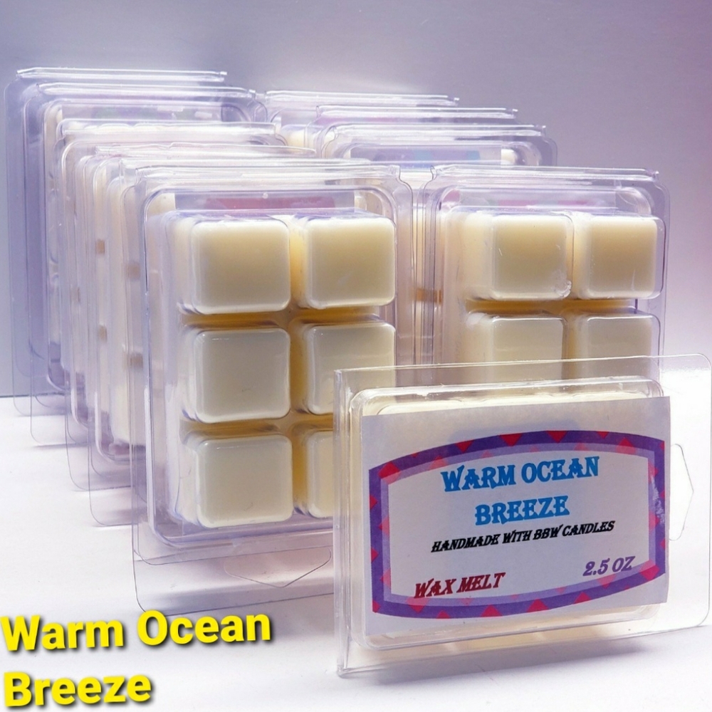 WARM OCEAN BREEZE -Bath & Body Works Candle Wax Melts- $8 per pack